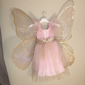 Potterybarn Kids Fairy Costume